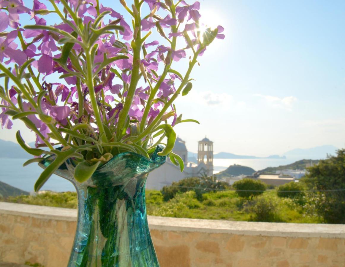 Villa De Viento 特里皮蒂 外观 照片